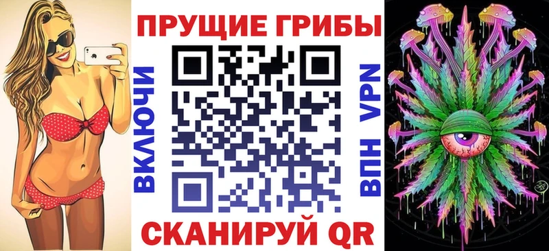 как найти   Кольчугино  Псилоцибиновые грибы ЛСД 